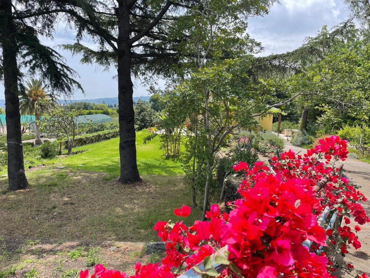 Villa Palm Hill Piedimonte Etneo Luaran gambar