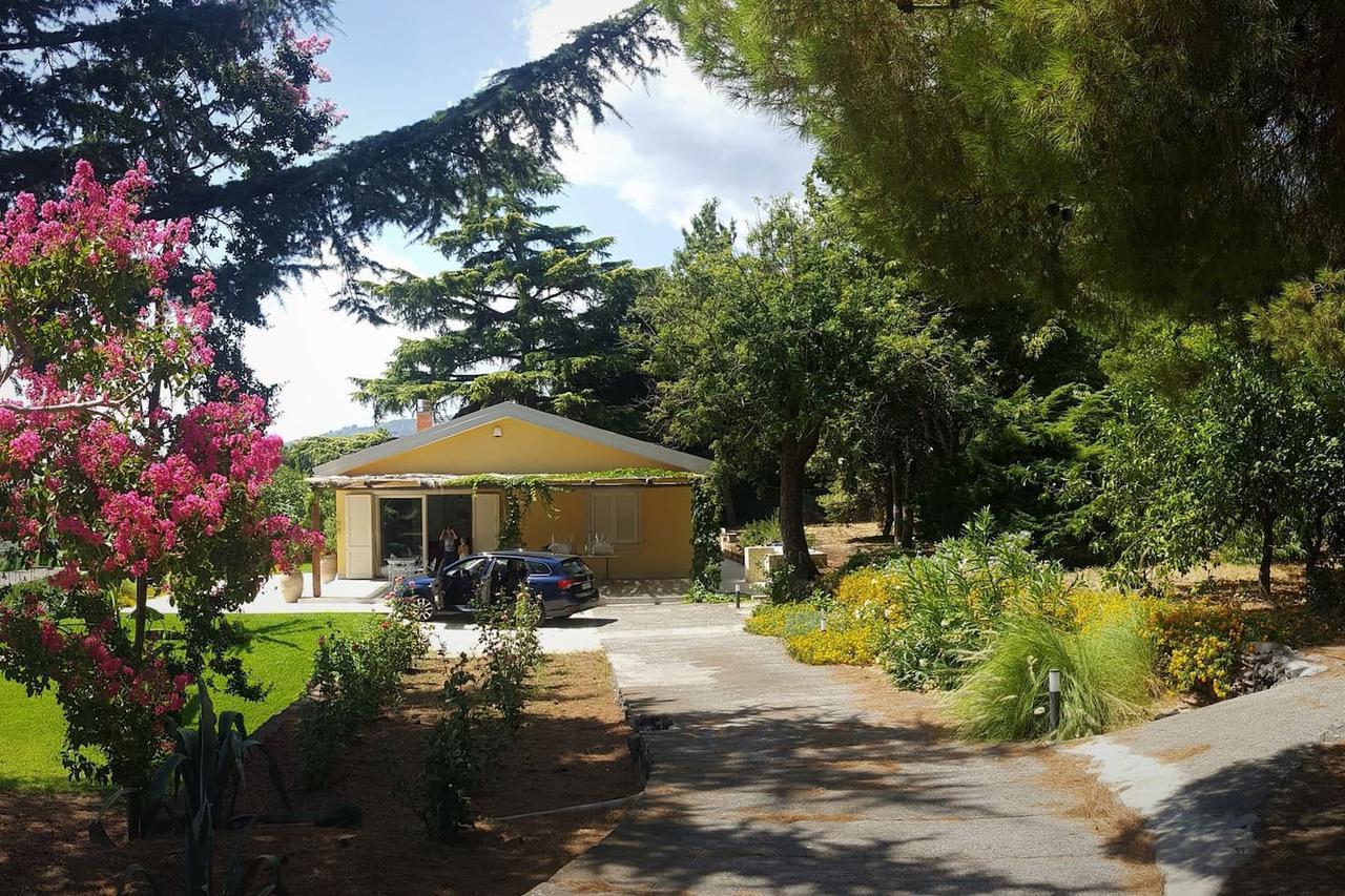 Villa Palm Hill Piedimonte Etneo Luaran gambar