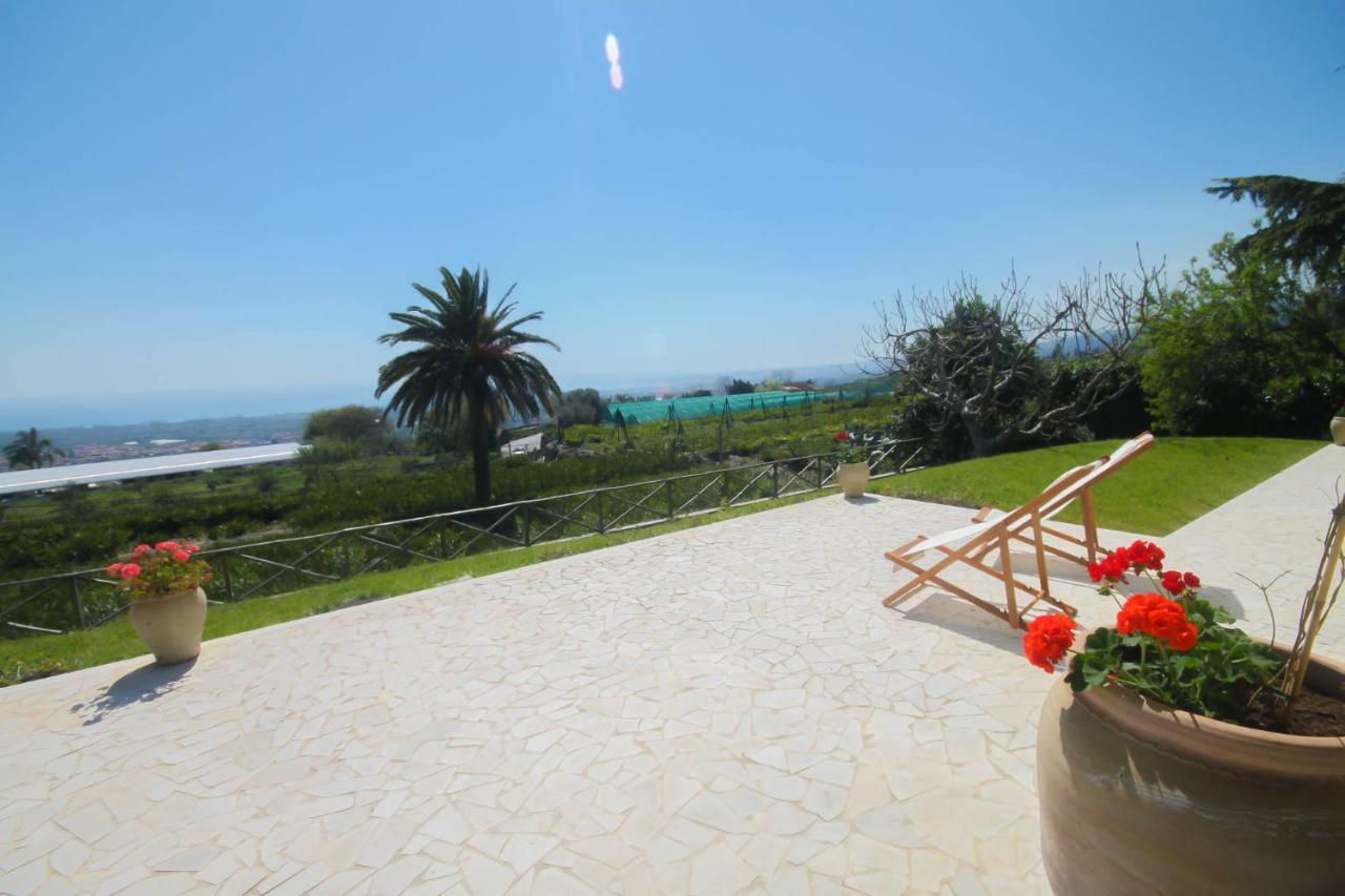 Villa Palm Hill Piedimonte Etneo Luaran gambar